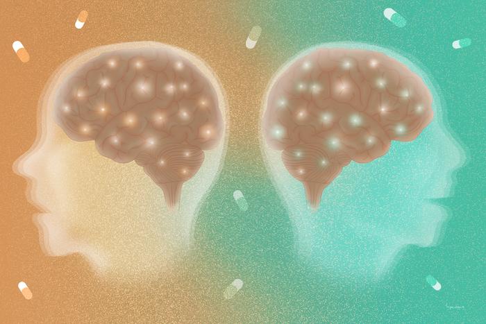 Visualizing addiction: How new research could change the way we fight the opioid epidemic