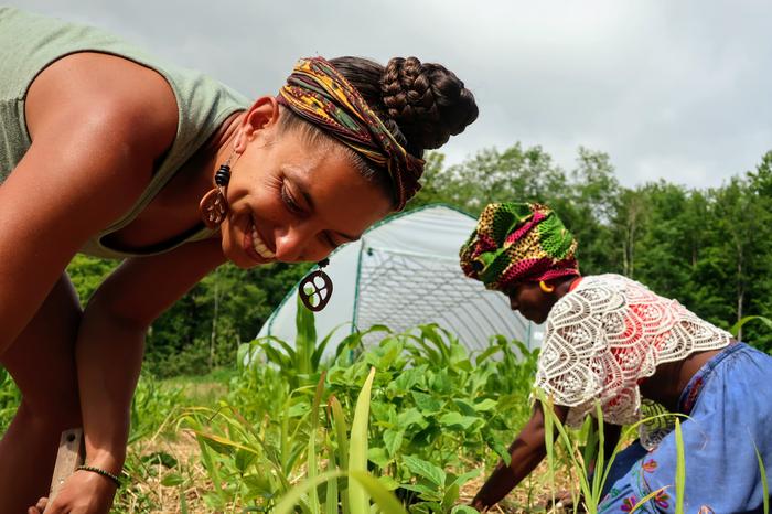 Why the U.S. food system needs agroecology