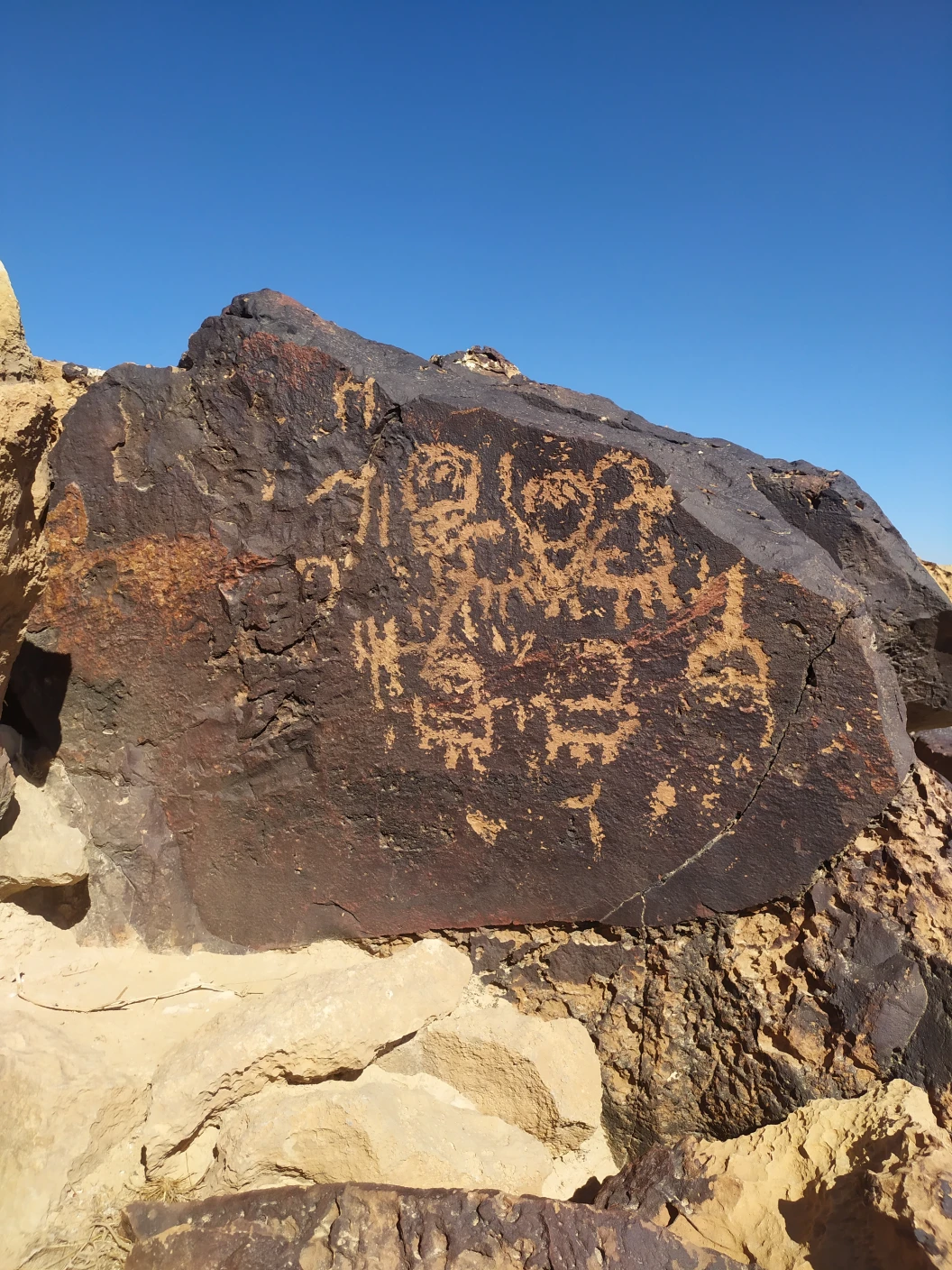 Desert-loving fungi and lichens pose deadly threat to 5,000-year-old rock art