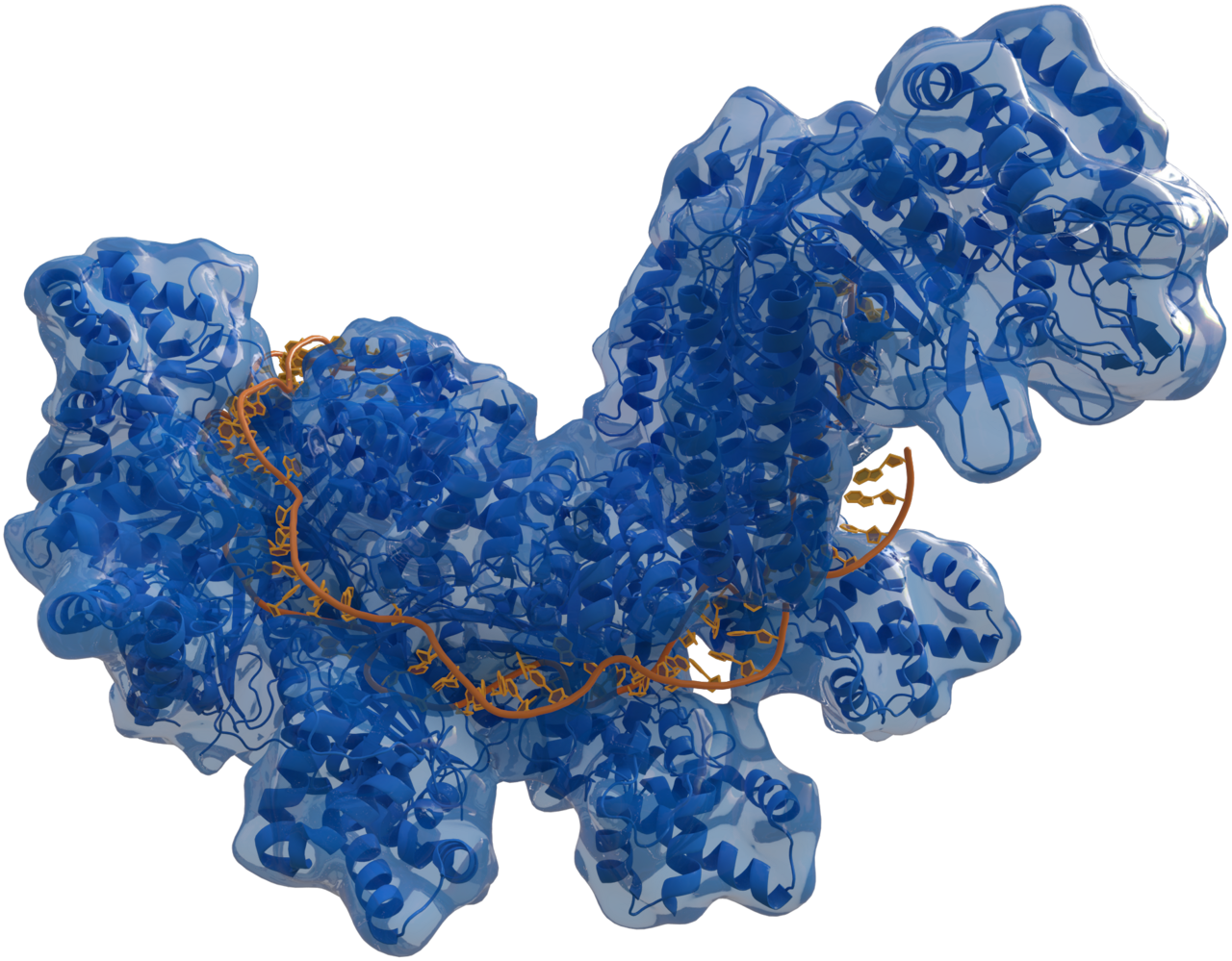 The Big Picture: The remarkable and science-changing CRISPR-Cas system.