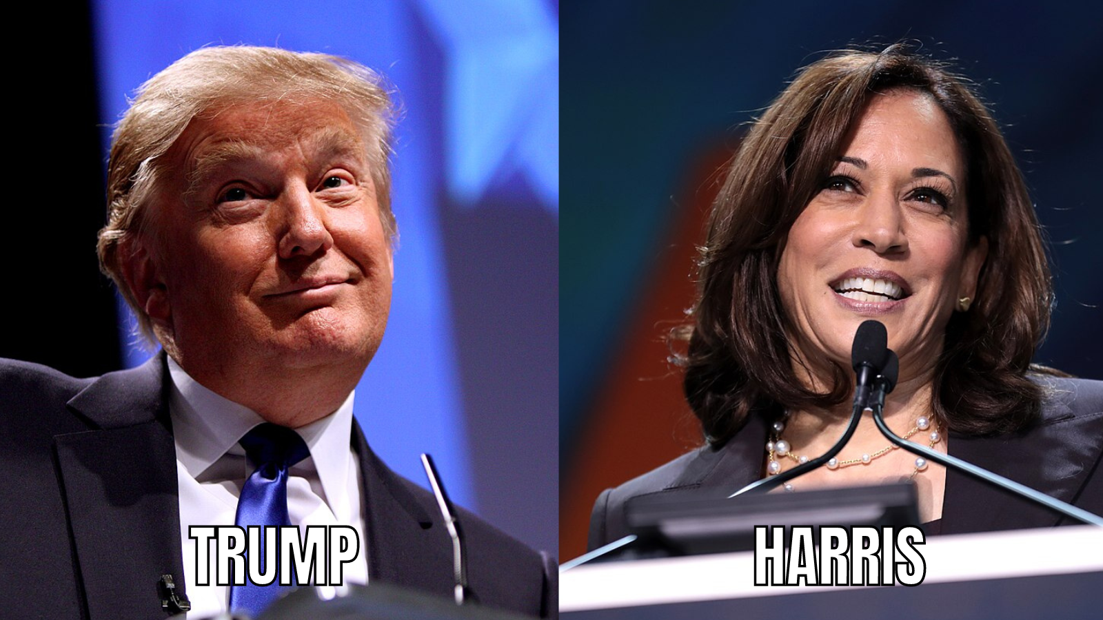 For Pharma, Trump vs. Harris Is a Showdown Between Two Industry Foes