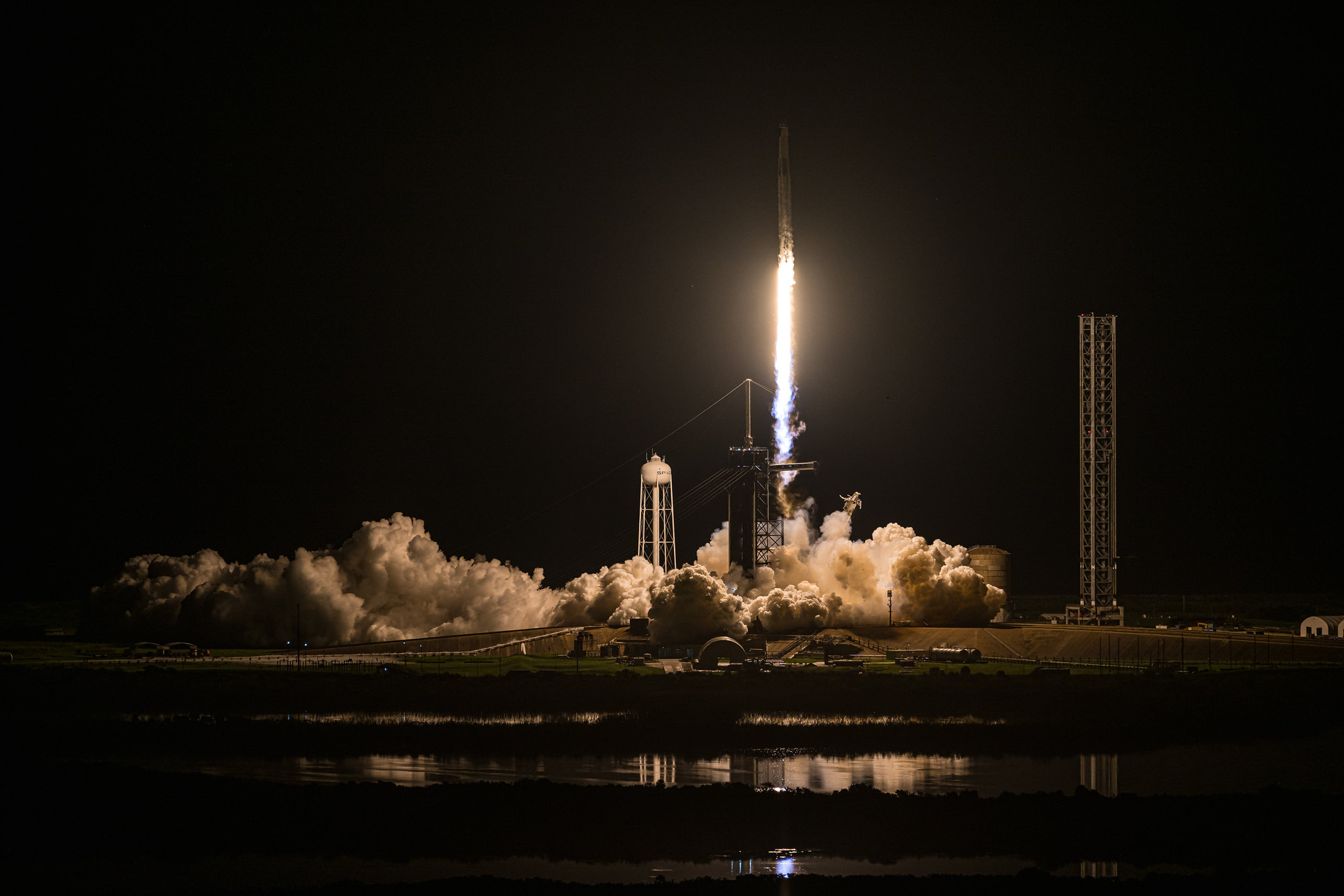 DAILY DOSE: SpaceX’s Polaris Dawn Mission Reaches New Heights; Young Mouse Ovaries Rejuvenate Old Eggs’ Quality.