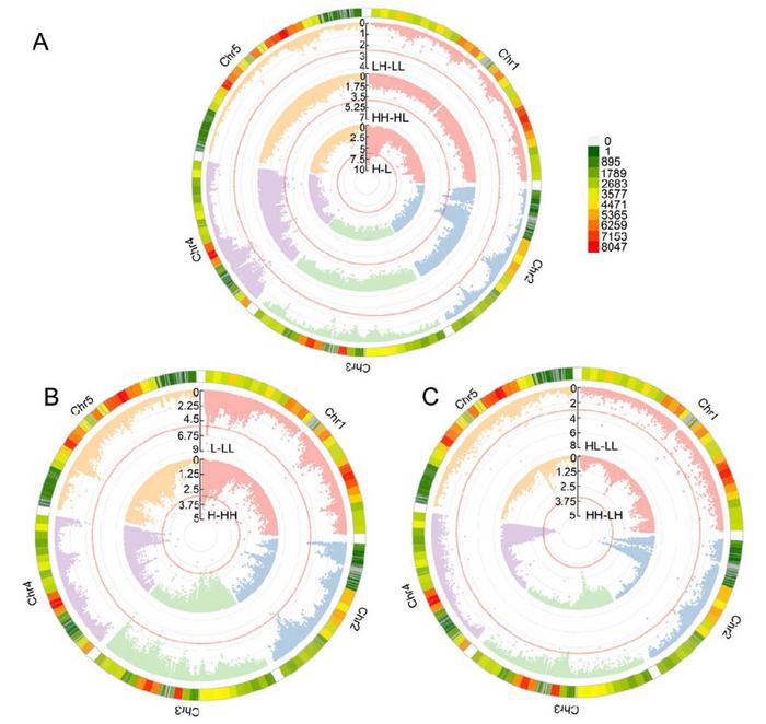 The memory in seeds: how plants carry environmental clues across generations