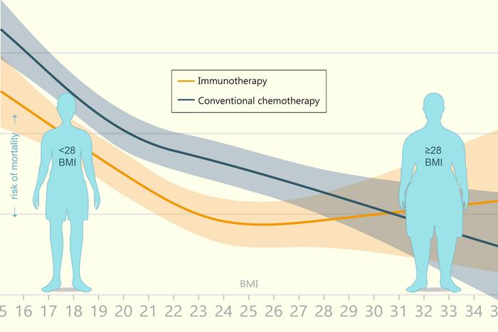 BMI’s relation to cancer therapy mortality risks not so straightforward