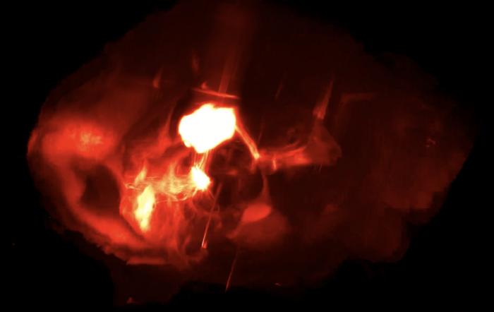 Serotonin to bounce back from adversity