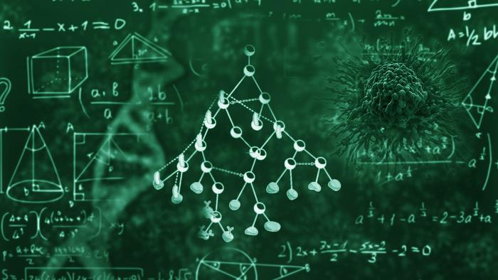 Evolving the framework of cancer theory