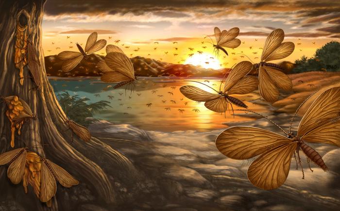 The amber caddisflies show that Trichoptera already conducted swarming behavior in the Mid-Cretaceous.