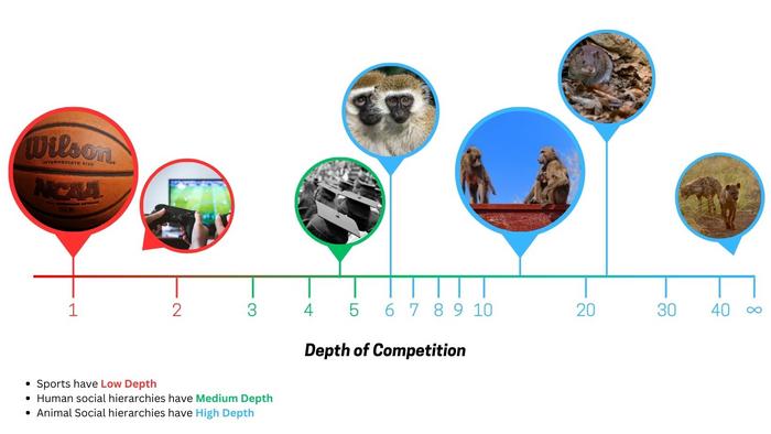 ‘Shallow’ sports and ‘deep’ social hierarchies: Not all pecking orders are created equal
