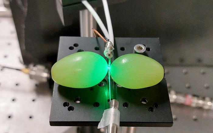 Grapes of math: Quantum breakthrough bears fruit