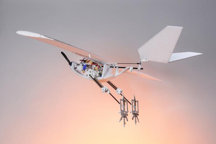 Bird-inspired drone can jump for take-off