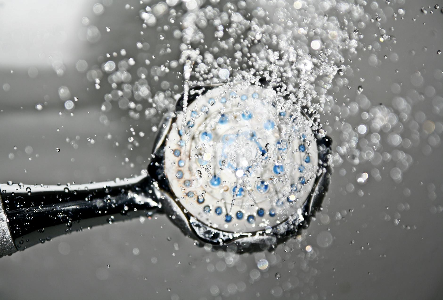 Potentially harmful bacteria slip through antimicrobial showerheads