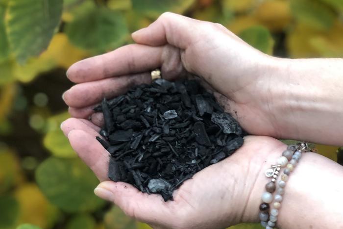 Biochar reduces the risks of DDT-contaminated soil