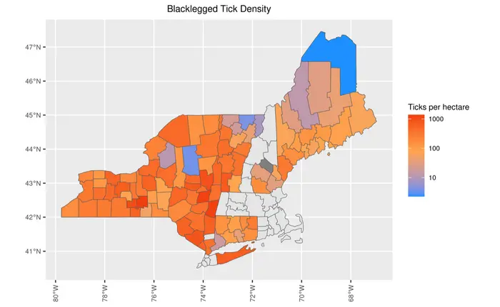 In the Northeast, 50% of adult ticks carry Lyme disease carrying bacteria