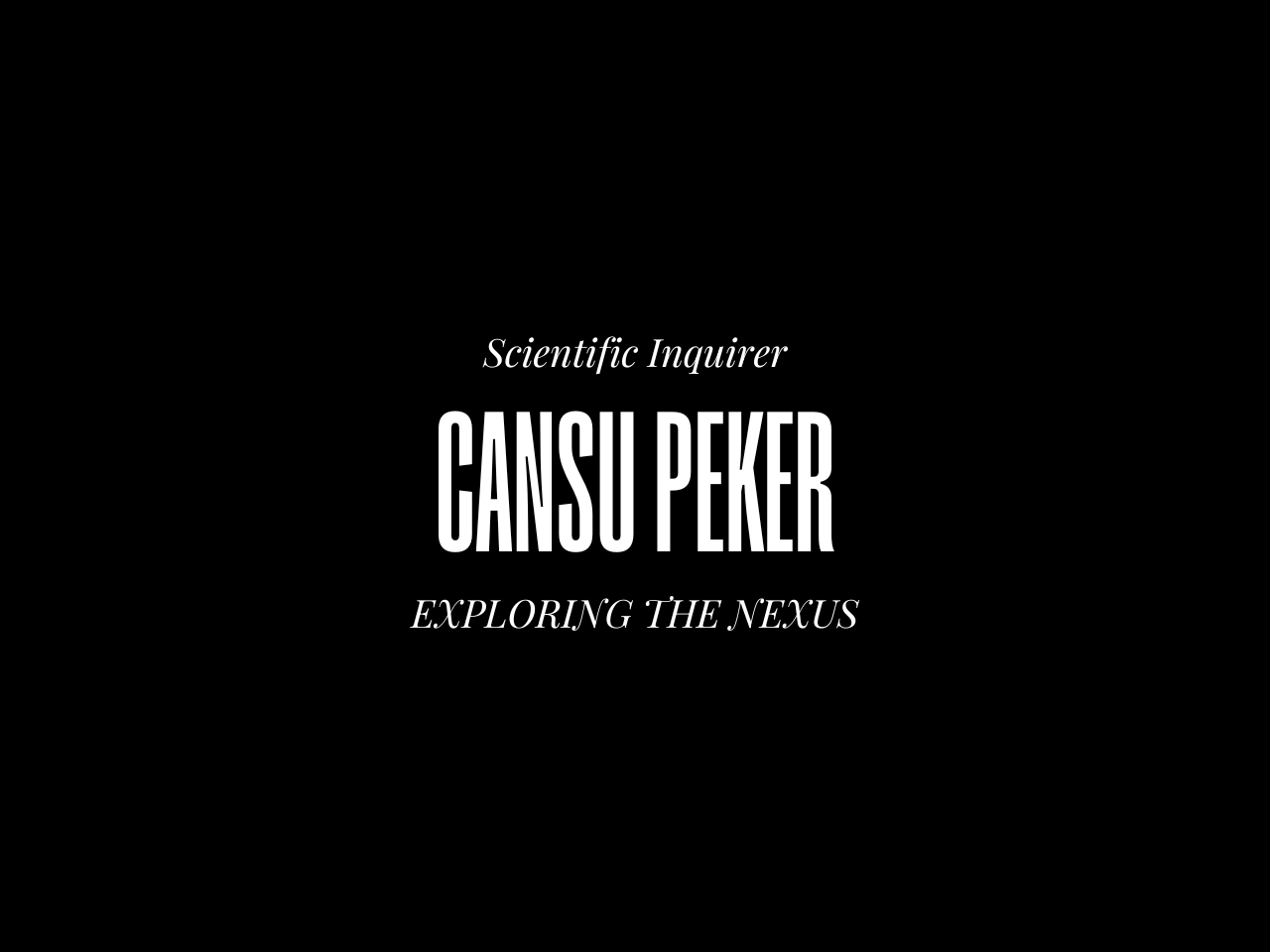 Exploring the Nexus: An Interview with Cansu Peker on Curating, Creativity, and the Future of Digital Art