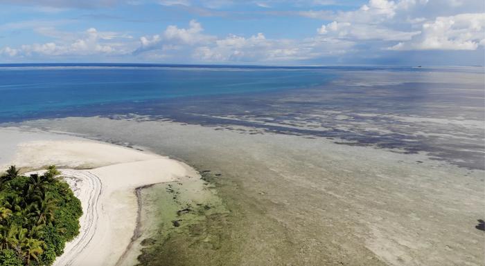 Study identifies urgent need to protect coastal marine ecosystems