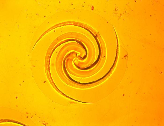 How chemistry and force etch mysterious spiral patterns on solid surfaces