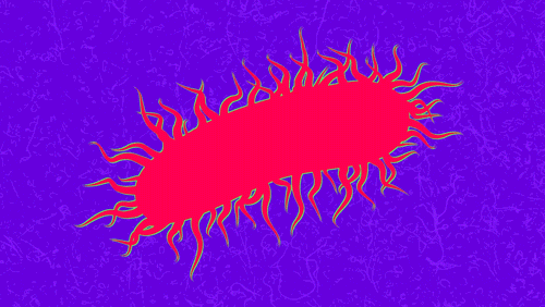 Warding off superbugs with a pinch of turmeric