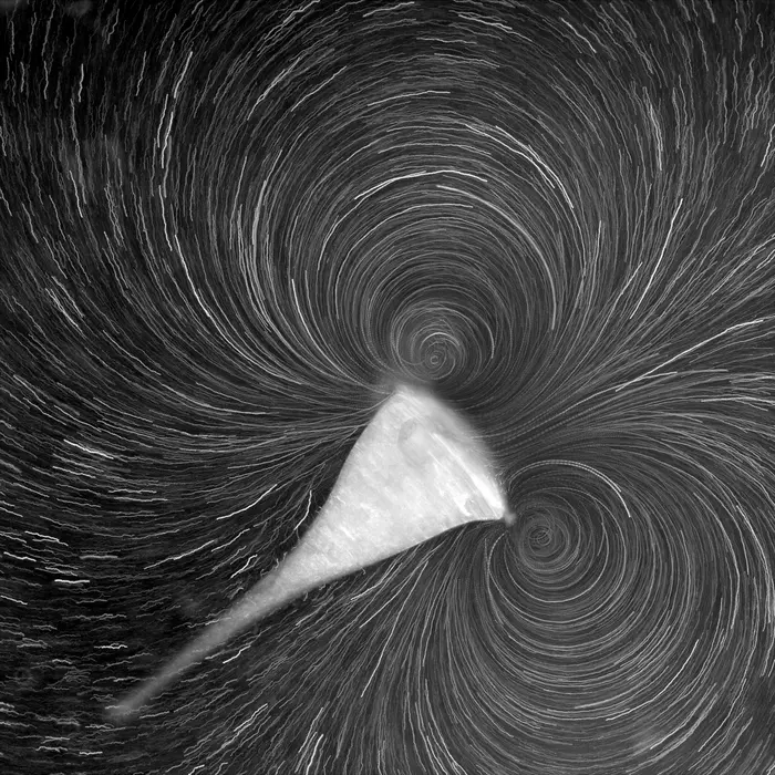 “She loves me, she loves me not”: physical forces encouraged evolution of multicellular life, scientists propose