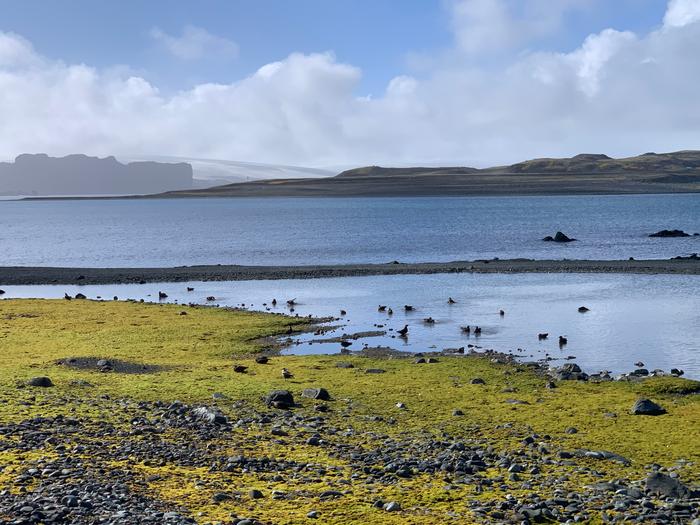 Study reveals how Tasman Sea temperatures influence Antarctic peninsula warming