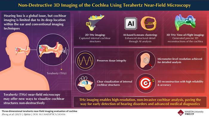 Terahertz imaging: a breakthrough in non-invasive cochlear visualization