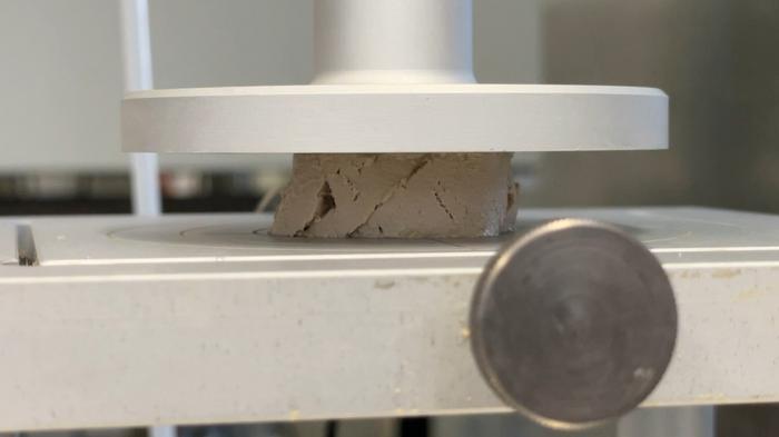 Making foie gras without force-feeding