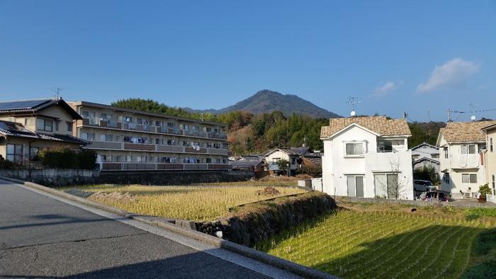 So, our city’s shrinking—Now what?