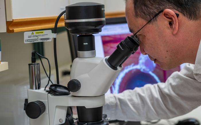 Researchers develop new way to match young cancer patients with the right drugs