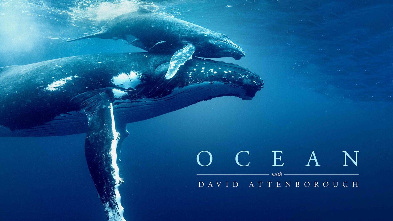 A Sea Worth Saving: The Story and Science Behind NatGeo’s “Ocean with David Attenborough”