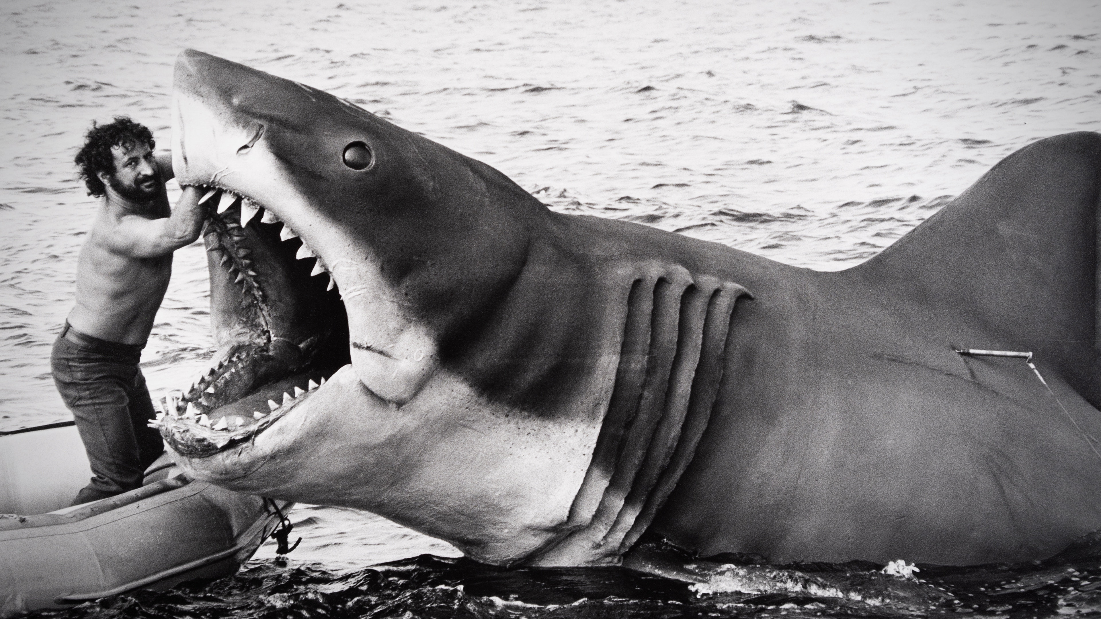 From Fear to Conservation: Wendy Benchley on the Legacy of Jaws at 50