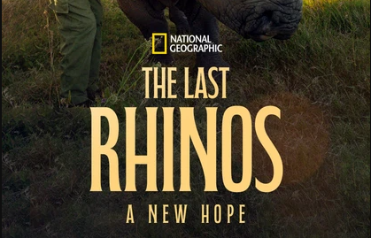 Saving the Last Rhinos: Science, Survival, and a New Hope