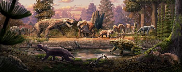 Fresh fossil finds in Africa shed light on the era before Earth’s largest mass extinction