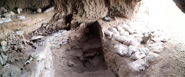 New discovery of wild cereal foraging – a precursor to agriculture – far from the fertile crescent