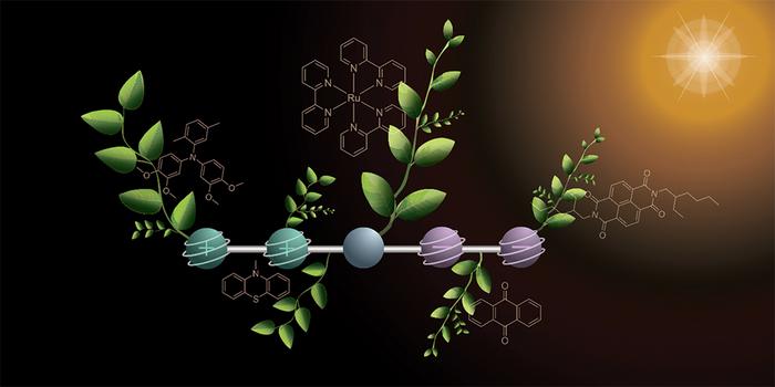 Chemists develop molecule for important step toward artificial photosynthesis