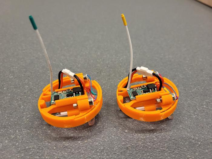Scientists find curvy answer to harnessing “swarm intelligence”
