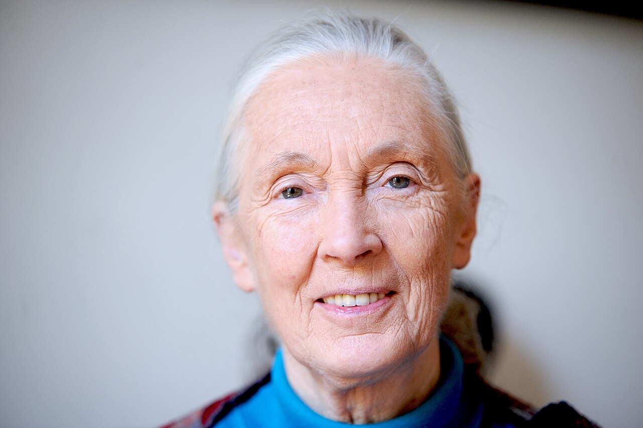DAILY DOSE: Jane Goodall Redefined Humanity’s Place Among Animals; Quantum Entanglement Persists 600 Times Longer in Dark States.