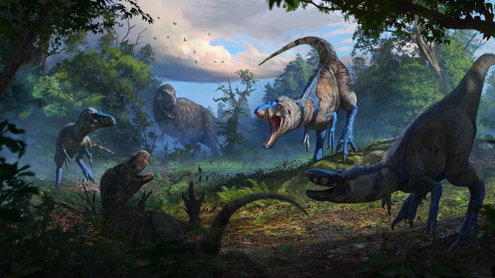 Nanotyrannus confirmed: Dueling dinosaurs fossil rewrites the story of T. rex