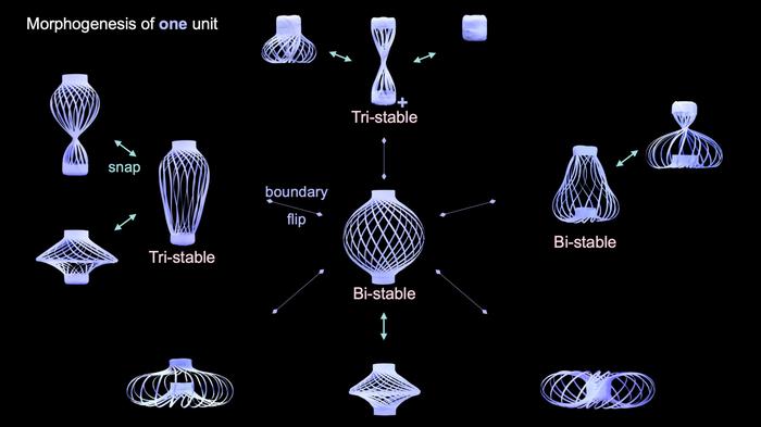‘Chinese lantern’ structure shifts into more than a dozen shapes for various applications