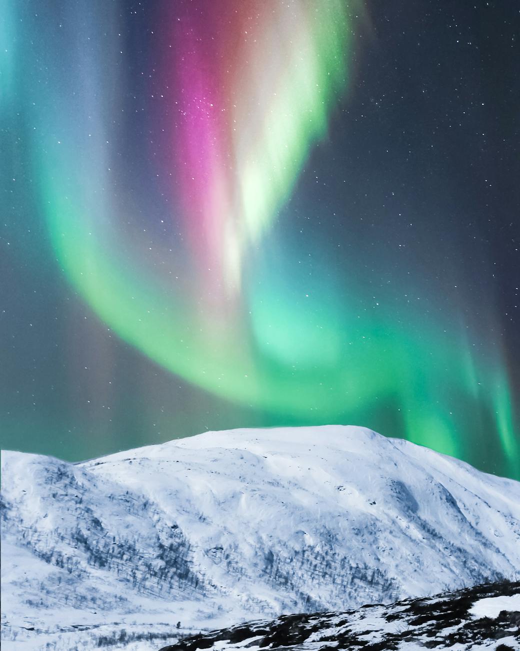 Why Auroras Glow Green, Red, and Purple: It’s Chemistry (and Altitude)