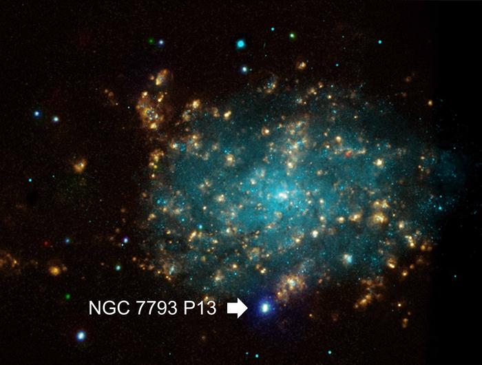 Mysterious X-ray variability of the strongly magnetized neutron star NGC 7793 P13