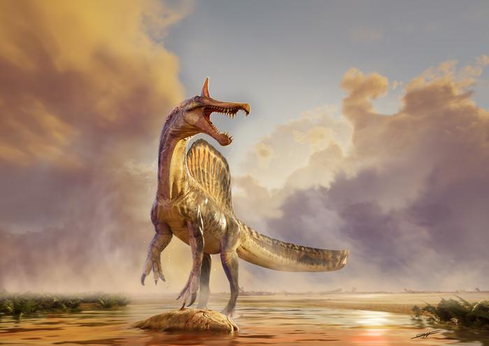 A New Giant From the Sahara Rewrites the Story of Spinosaurus