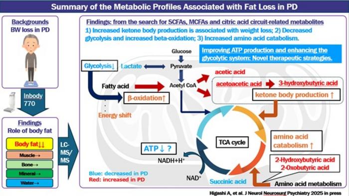 Parkinson’s disease triggers a hidden shift in how the body produces energy