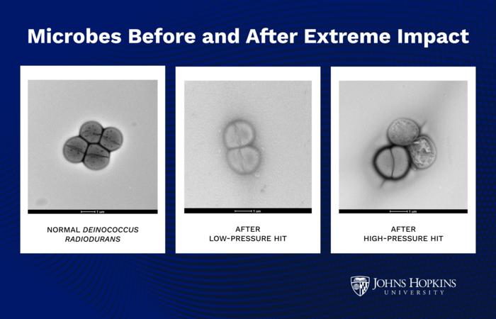 Life forms can planet hop on asteroid debris – and survive