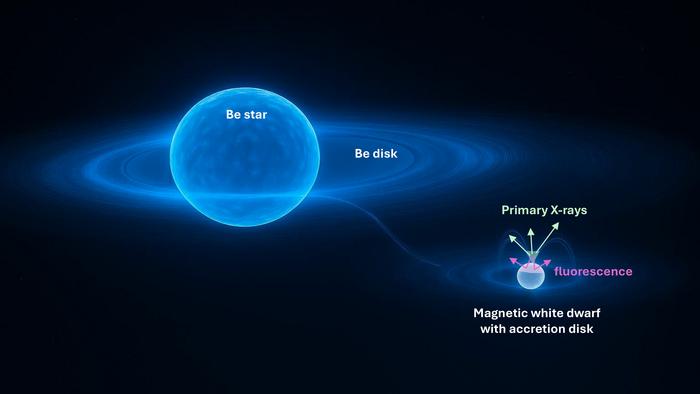 The origin of the mysterious X-rays from Gamma Cas identified