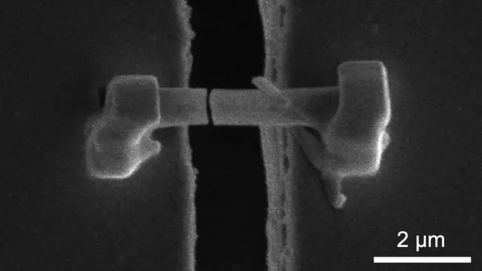 Why do lithium-ion batteries fail? Scientists find clues in microscopic metal ‘thorns’
