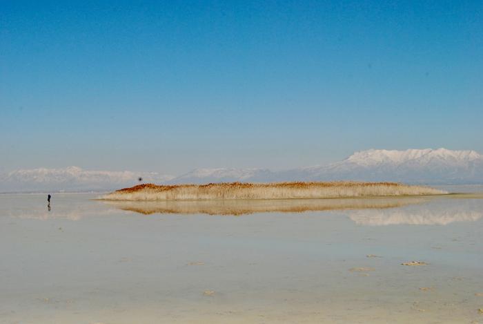 The freshwater hidden beneath the Great Salt Lake