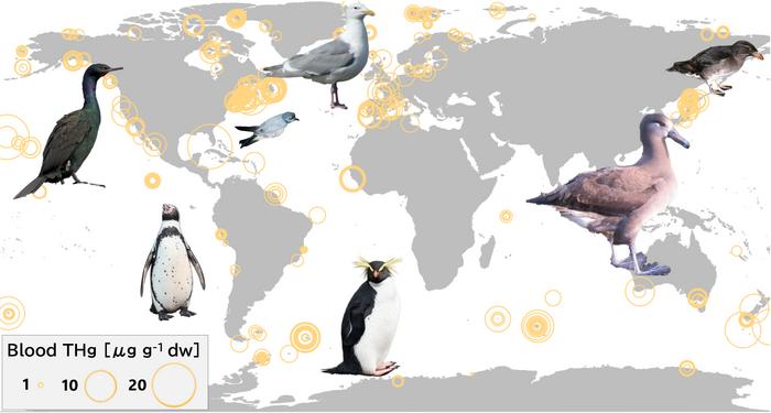 Seabirds reveal global mercury distribution in oceans