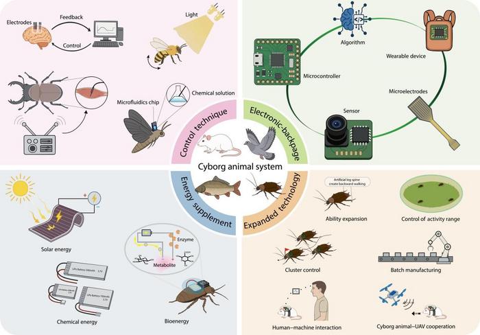 Construction, control, and application of cyborg animal composed of biological and electromechanical systems