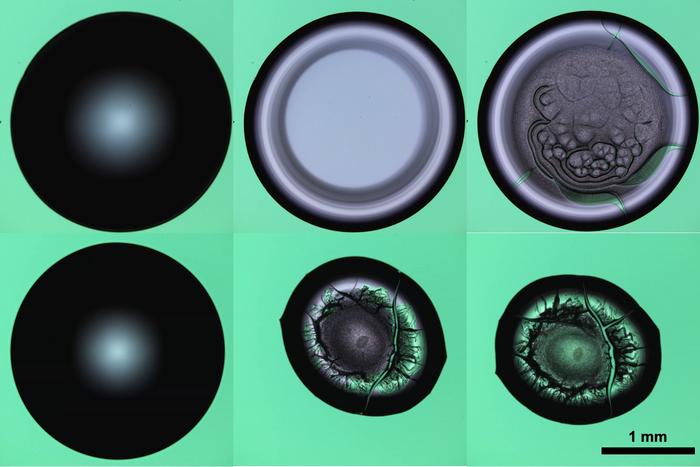 Polymer ‘bristles’ could help repel proteins — and germs — from surfaces in medical settings