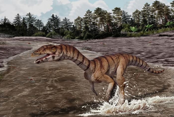 New species of bizarre, bipedal, toothless crocodile relative from the Triassic discovered