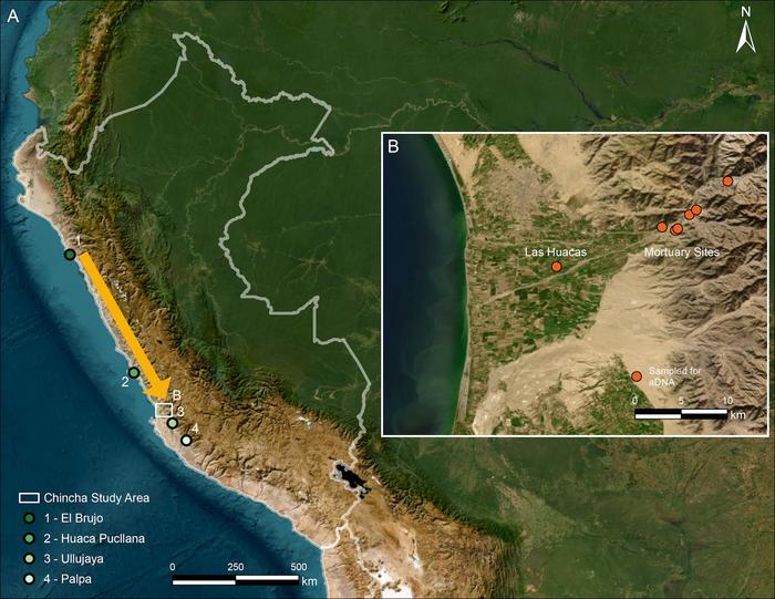 Ancient DNA reveals web of marriage and migration in Peru